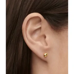 Piercing individual Gravity PDPAOLA