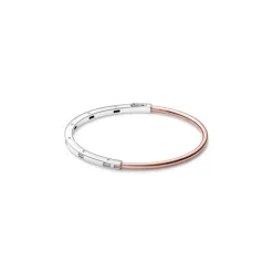 Pulsera en Dos Tonos y Gemas Pandora Signature
